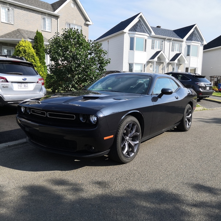 DODGE CHALLENGER